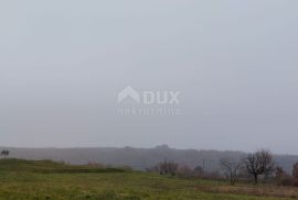 ISTRA, MOTOVUN - Građevinsko zemljište s pogledom na Butonigu, Motovun, Land