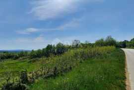 ISTRA, PIĆAN - Prostrani kompleks građevinskog i poljoprivrednog zemljišta sa otvorenim pogledom na prirodu, Pićan, Terreno