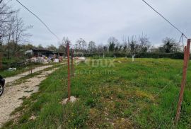 ISTRA, BRTONIGLA - Kompleks zemljišta gospodarske namjene, Brtonigla, Terreno