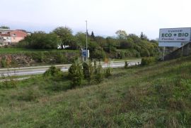 KUKULJANOVO, ČAVLE- građevinsko zemljište 2350m2 + starina 200m2 u industrijskoj zoni (namjena: trgovačka, zanatska, industrijska), Čavle, Terrain