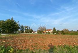 ISTRA, GRAČIŠĆE - Građevinsko zemljište, Gračišće, Land