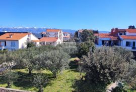 OTOK PAG, NOVALJA (CENTAR) - Samostojeća kuća s tri apartmana i bazenom, Novalja, House