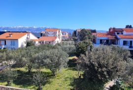 OTOK PAG, NOVALJA (CENTAR) - Samostojeća kuća s tri apartmana i bazenom, Novalja, Ev