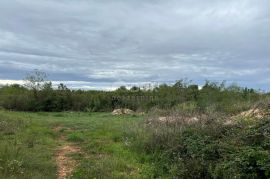 ISTRA, SVETVINČENAT - Građevinsko zemljište, Svetvinčenat, Land