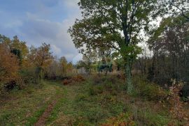 ISTRA, MANJADVORCI - Prostrano poljoprivredno zemljište u blizini naselja, Barban, Terra