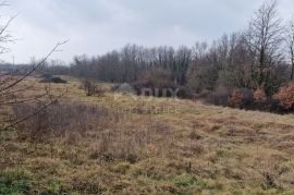 ISTRA, SVETI PETAR U ŠUMI - Prostrani kompleks zemljišta, Sveti Petar U Šumi, Tierra