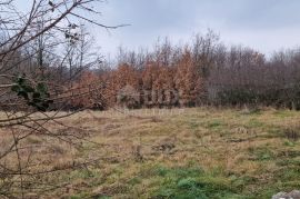 ISTRA, SVETI PETAR U ŠUMI - Prostrani kompleks zemljišta, Sveti Petar U Šumi, Land