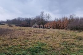 ISTRA, SVETI PETAR U ŠUMI - Prostrani kompleks zemljišta, Sveti Petar U Šumi, Tierra