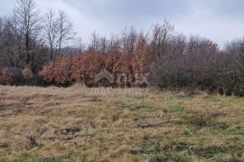 ISTRA, SVETI PETAR U ŠUMI - Prostrani kompleks zemljišta, Sveti Petar U Šumi, Land