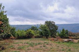 ISTRA, PIĆAN - Građevinsko zemljište prekrasnog pogleda, Pićan, Terra