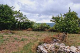 ISTRA, PIĆAN - Građevinsko zemljište prekrasnog pogleda, Pićan, Land