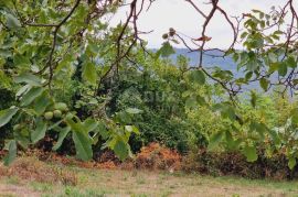 ISTRA, PIĆAN - Građevinsko zemljište prekrasnog pogleda, Pićan, Land