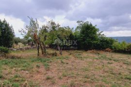 ISTRA, PIĆAN - Građevinsko zemljište prekrasnog pogleda, Pićan, Land