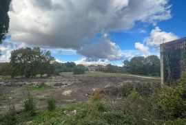 ISTRA, ŽMINJ - Prostrano građevinsko zemljište s izgrađenim objektom, Žminj, Land