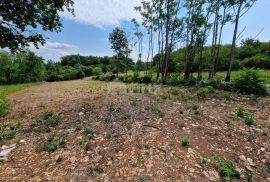 ISTRA, TINJAN - Građevinsko zemljište na mirnoj i tihoj lokaciji, Tinjan, Terrain