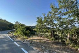 ISTRA, GRAČIŠĆE - Prekrasan maslinik s 90 maslina!, Gračišće, Land