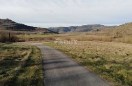 ISTRA, MOTOVUN-idealno zemljište za ville s bazenima, Motovun, Земля