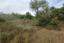 ISTRA, PEROJ - Poljoprivredno zemljište 613 m2, Vodnjan, Land