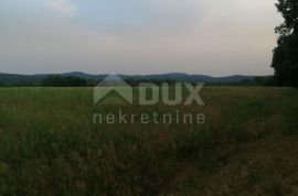 NAŠICE - Zemljište za gradnju solarne elektrane, Našice, Land