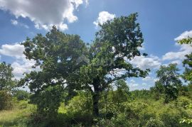 ISTRA, VIŠNJAN - Poljoprivredno zemljište nedaleko od naselja sa pogledom na Učku, Višnjan, Land