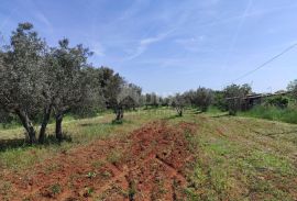 ISTRA, FAŽANA Kuća 66m2 na prostranom zemljištu!, Fažana, Kuća