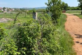 ISTRA, NOVIGRAD (OKOLICA) - Poljoprivredno zemljište na odličnoj lokaciji, Novigrad, Land