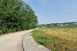 ISTRA, PAZIN - Prostrano građevinsko zemljište stambene namjene, Pazin, Zemljište