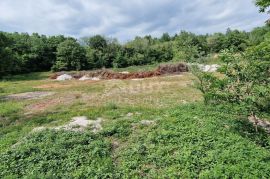 ISTRA, PAZIN - Prostrano građevinsko zemljište stambene namjene, Pazin, Tierra