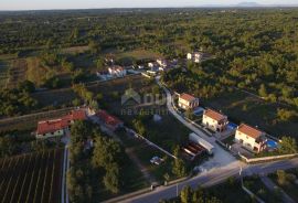 ISTRA, SVETVINČENAT - Raskošna kamena vila, Svetvinčenat, House