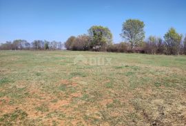 ISTRA, MUNTIĆ - Prekrasno očišćeno zemljište 10504 m2 u blizini Pule, Ližnjan, Land