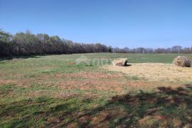 ISTRA, MUNTIĆ - Prekrasno očišćeno zemljište 10504 m2 u blizini Pule, Ližnjan, Terrain