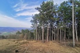 ISTRA,MOTOVUN-Poljoprivredno zemljište s predivnim pogledom, Motovun, Земля