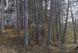 ISTRA,MOTOVUN-Poljoprivredno zemljište s predivnim pogledom, Motovun, Land