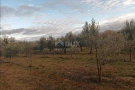 ISTRA, BARBAN - Poljoprivredno zemljište i maslinik 9707 m2!, Barban, Arazi