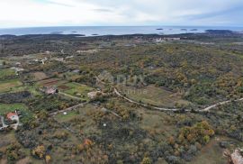 ISTRA, ROVINJ Poljoprivredno zemljište 2,5 km od mora!, Rovinj, Terra