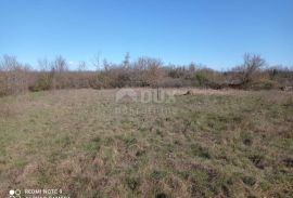 ISTRA, SVETI LOVREČ - Poljoprivredno zemljište - šuma i oranica, Sveti Lovreč, Land