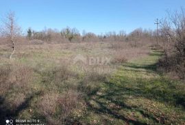 ISTRA, SVETI LOVREČ - Poljoprivredno zemljište - šuma i oranica, Sveti Lovreč, Land