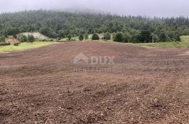 GORSKI KOTAR, FUŽINE - Novogradnja sa prostranom okućnicom, Fužine, Kuća