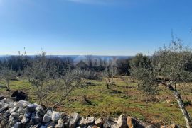 ISTRA, TRGET - Poljoprivredno zemljište 3129 m2 sa predivnim pogledom prema Raškom zaljevu, Raša, Tierra