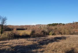 ISTRA, GROŽNJAN - Kompleks građevinskog i poljoprivrednog zemljišta panoramskog pogleda, Grožnjan, Zemljište