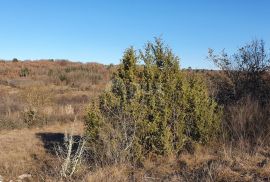 ISTRA, GROŽNJAN - Kompleks građevinskog i poljoprivrednog zemljišta panoramskog pogleda, Grožnjan, Terrain