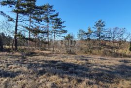 ISTRA, GROŽNJAN - Kompleks građevinskog i poljoprivrednog zemljišta panoramskog pogleda, Grožnjan, Terreno