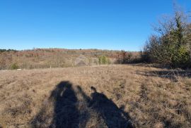 ISTRA, GROŽNJAN - Kompleks građevinskog i poljoprivrednog zemljišta panoramskog pogleda, Grožnjan, Arazi