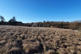 ISTRA, GROŽNJAN - Kompleks građevinskog i poljoprivrednog zemljišta panoramskog pogleda, Grožnjan, Arazi