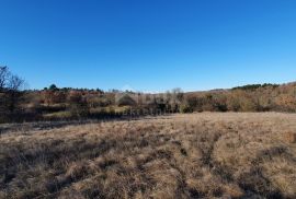 ISTRA, GROŽNJAN - Kompleks građevinskog i poljoprivrednog zemljišta panoramskog pogleda, Grožnjan, Terreno