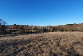 ISTRA, GROŽNJAN - Kompleks građevinskog i poljoprivrednog zemljišta panoramskog pogleda, Grožnjan, Terrain