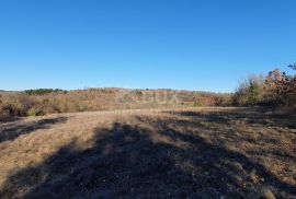 ISTRA, GROŽNJAN - Kompleks građevinskog i poljoprivrednog zemljišta panoramskog pogleda, Grožnjan, Arazi