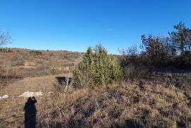 ISTRA, GROŽNJAN - Kompleks građevinskog i poljoprivrednog zemljišta panoramskog pogleda, Grožnjan, Arazi