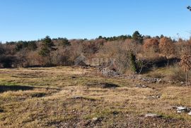 ISTRA, GROŽNJAN - Kompleks građevinskog i poljoprivrednog zemljišta panoramskog pogleda, Grožnjan, Tierra