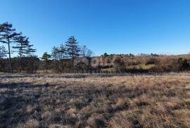 ISTRA, GROŽNJAN - Kompleks građevinskog i poljoprivrednog zemljišta panoramskog pogleda, Grožnjan, Terrain